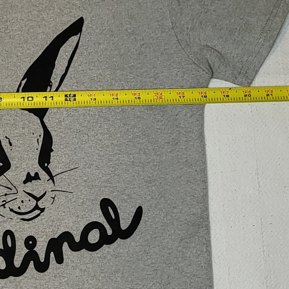 3/$20 Lazer Heaven Cardinal Flocked T-Shirt - S - Picture 6 of 7